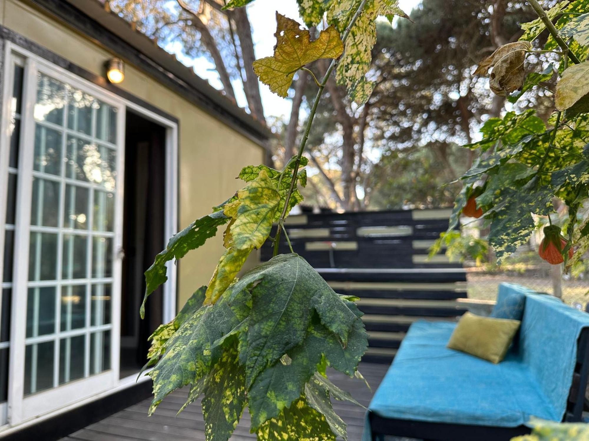 Eco-Friendly Beach House Sesimbra Esterno foto
