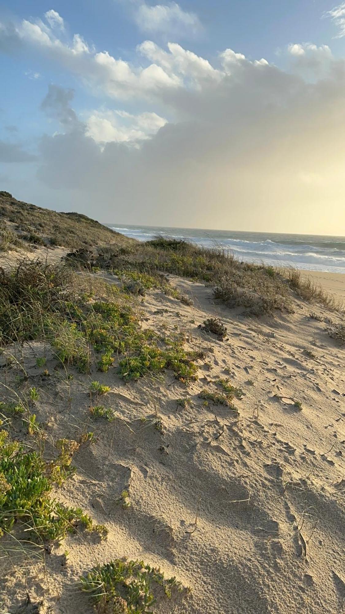 Eco-Friendly Beach House Sesimbra Esterno foto