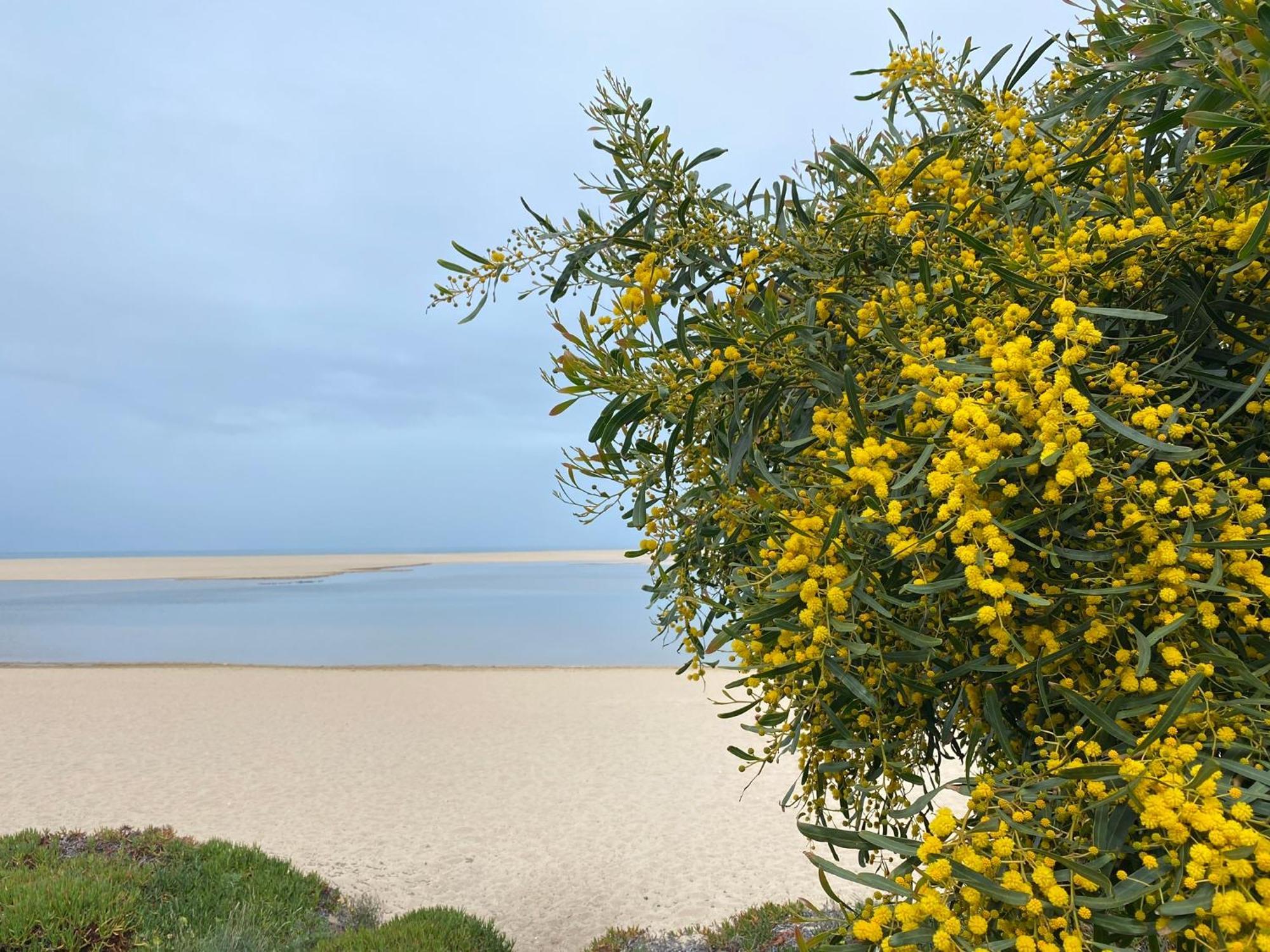 Eco-Friendly Beach House Sesimbra Esterno foto